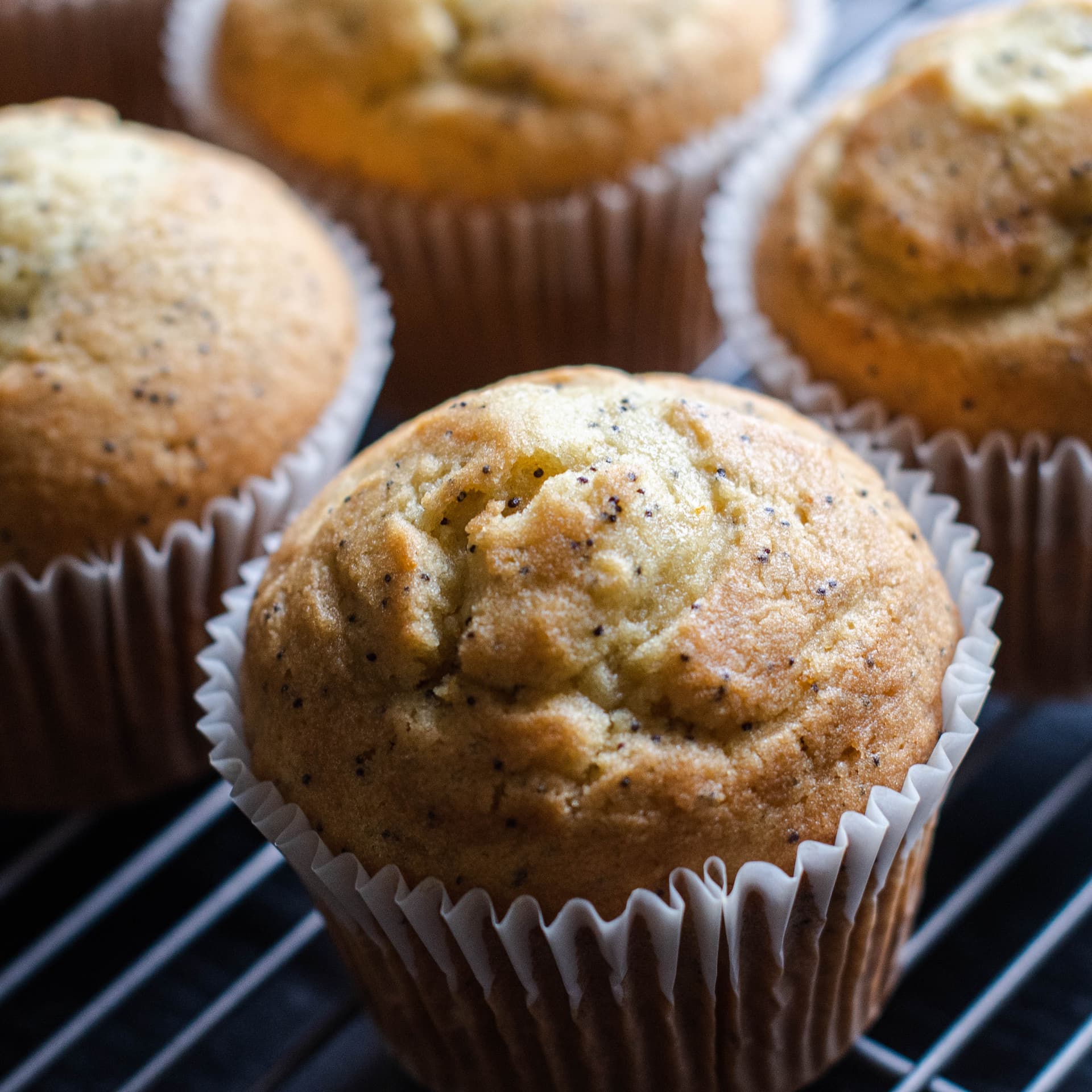 Vegan lemon poppy seed muffins in paper liners